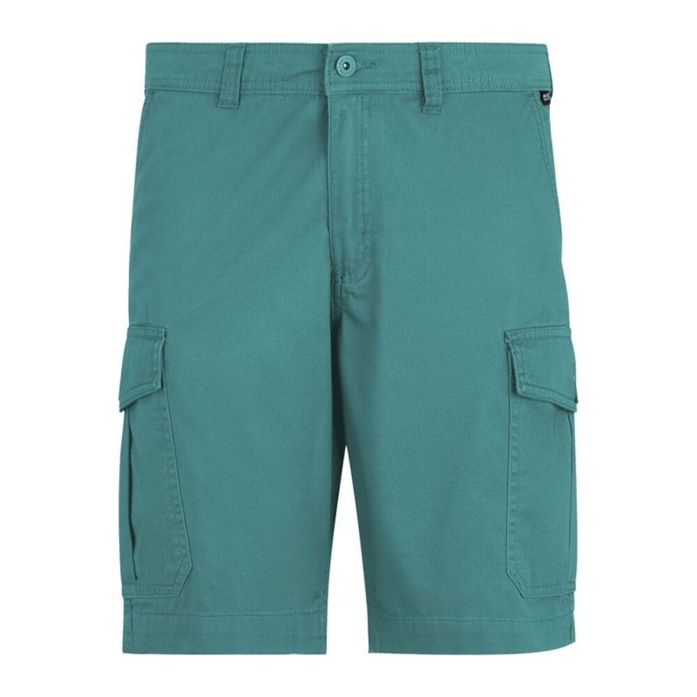Regatta Mens Ruwan Casual Shorts / Arctic